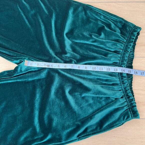 VTG Diane Von Furstenberg The Color Authority Green Velvet High Waisted Pants M - Picture 11 of 15